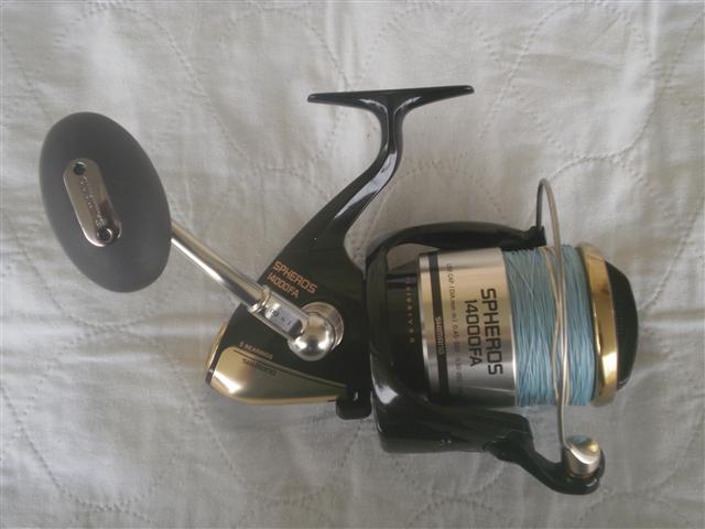 P1300246 (Small).JPG